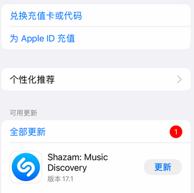 禄丰苹果维修分享无法在iPhone上下载或更新应用办法 