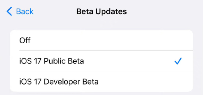 苹果 iOS / iPadOS 18.1 开发者预览版 Beta 2 发布:简化 Photos、增强 Safari 分心控制等