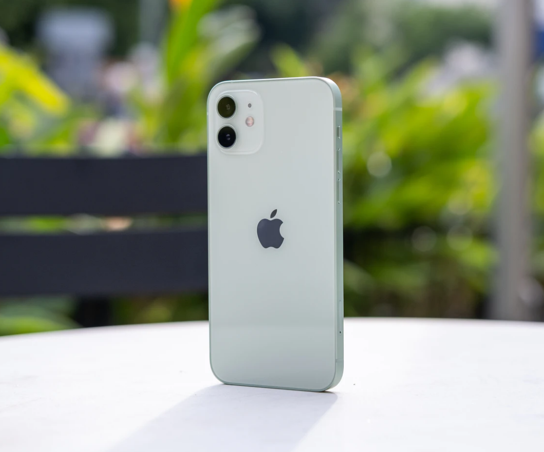 禄丰苹果手机维修分享iPhone 12 不慎落入水中如何处理 